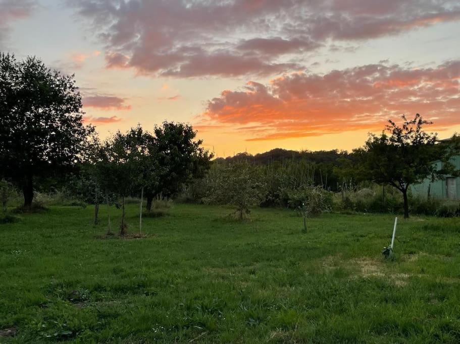 Holiday home Le Clos De La Borie Saint-Antoine-de-Breuilh